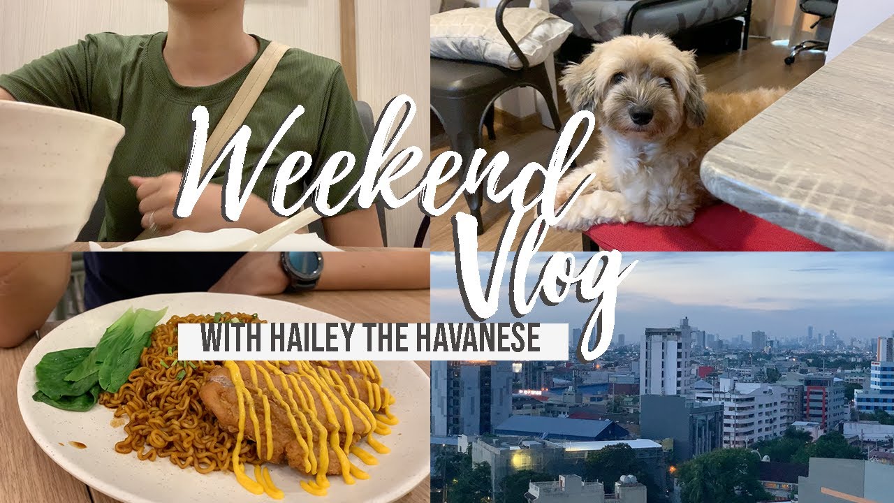 WEEKEND VLOG with Hailey the Havanese (condo living in Makati)