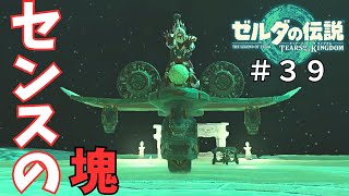 次は飛行機自慢ですか【ゼルダの伝説 ティアーズ オブ ザ キングダム】#39