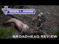 Tooth of the Arrow Broadhead Review | Elk Hunting