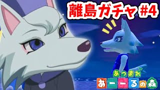 あつ森】ビアンカ姉さん結婚してくれ【離島ガチャ #4