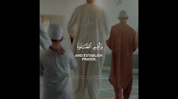 🕸️ آية من سورة العنكبوت | قرآن قصير ومؤثر | طارق محمد