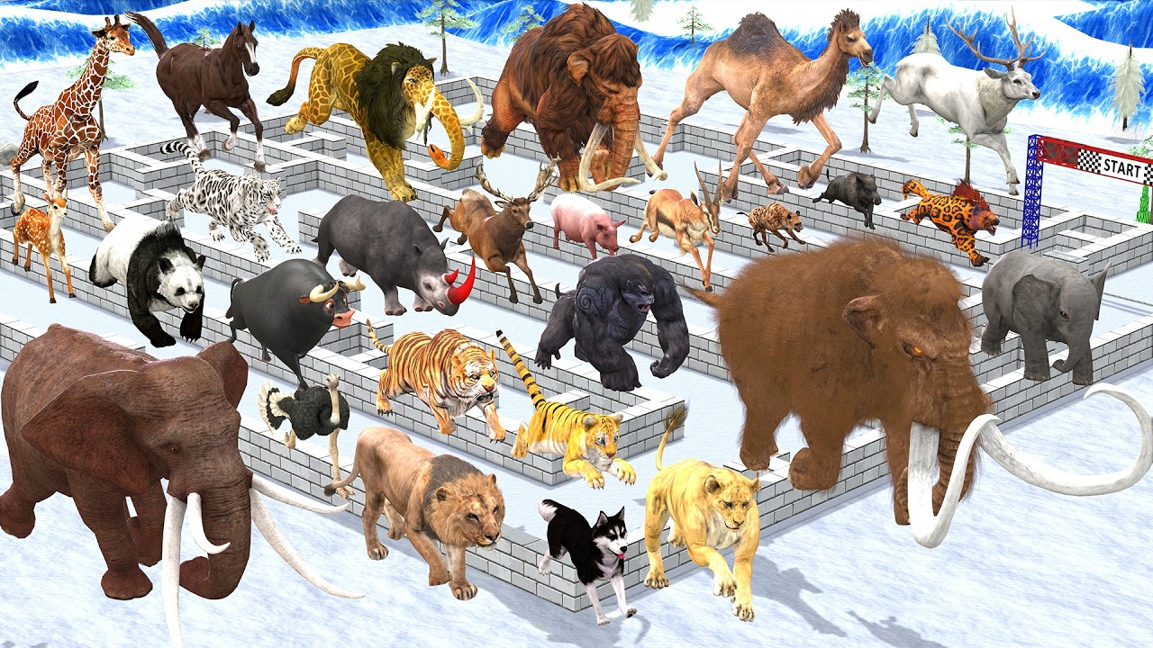 Maze Madness Race 24 Wild Animals, Which is the Fastest Animal Animal Revolt Battle Simulator