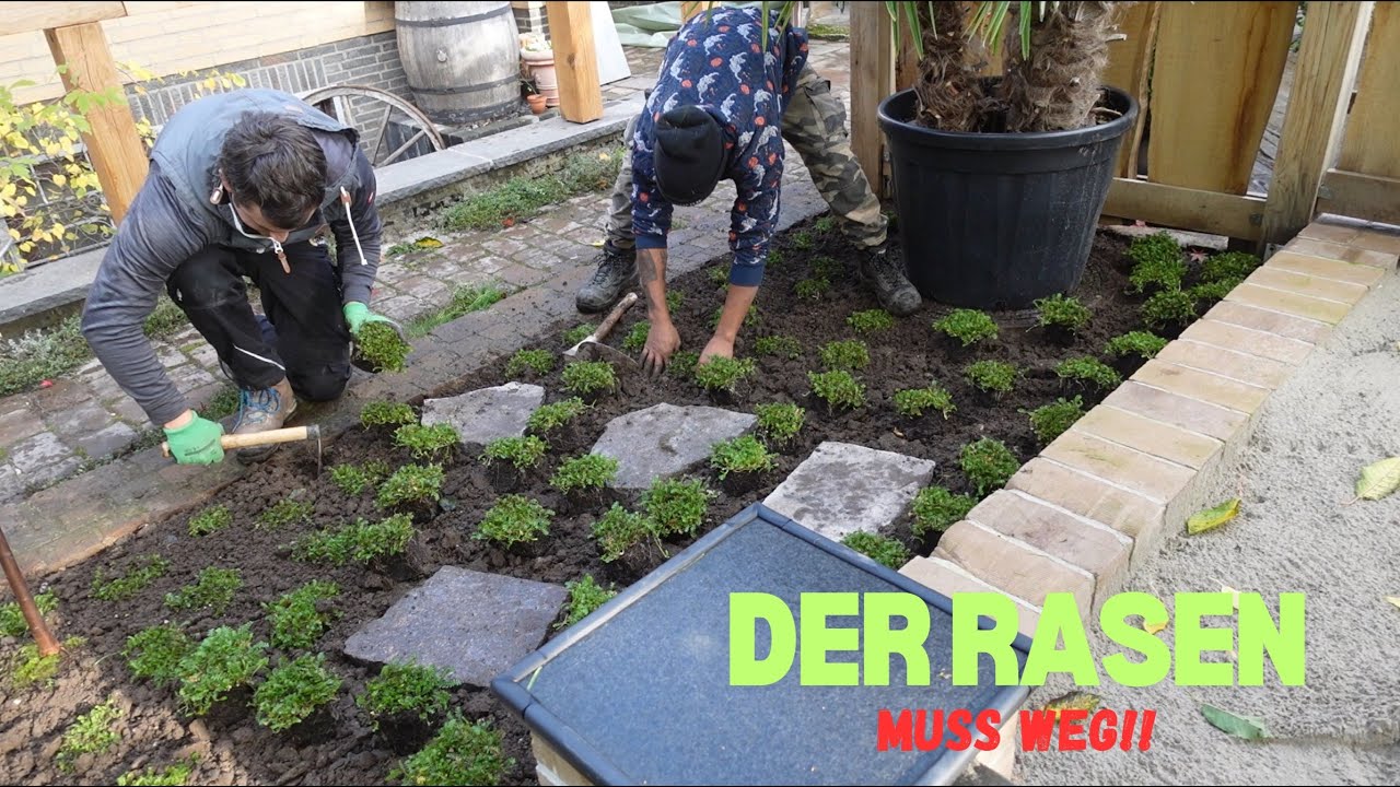 Rasenersatz | Kosten | Dokumentation