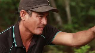 Forestwise Illipe Butter Production Process English