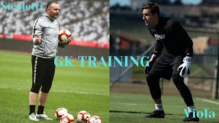 Complete Goalkeeper training - Mister Nicoletti