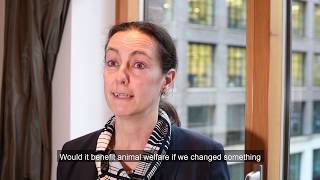 Why is reflection important to outcomes-focused CPD