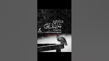 قران كريم| اجر لي ولكم