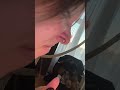 🥐🤡🍘💉BIG SEPTUM PRESHING STRETCH#septumpiercing #nosepiercing