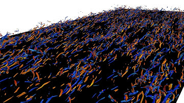 Coherent structures in a Turbulent Channel Flow simulation