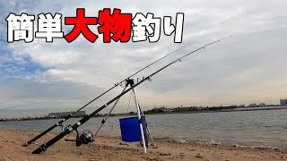 【海釣り入門】初心者でも簡単にできる釣りで大物を狙う