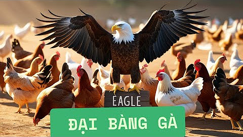 Dự án 10.000 Video Giá Trị Cuộc Sống