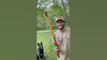 How ancient human throw a spear 😲 #shorts