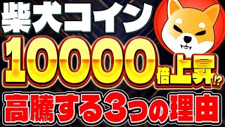 【柴犬コイン(SHIB)】10万円で億確定!?ビットコインやリップルよりもシバイヌコインが今後稼げる理由を徹底解説!!【仮想通貨】【最新情報】