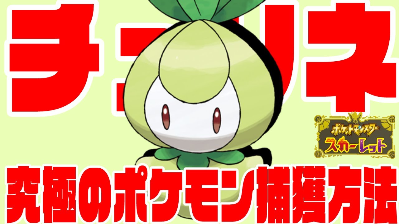 誰でも簡単にをチュリネを捕まえる方法 ポケモンsv Youtube