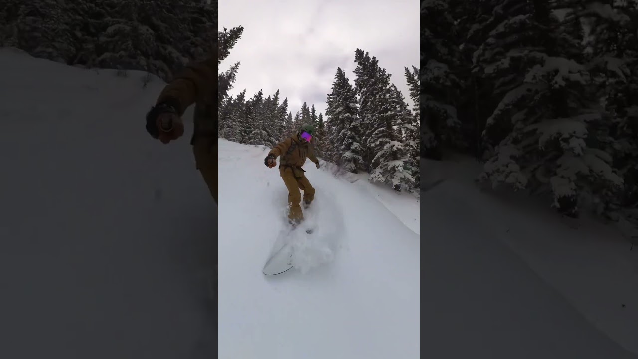 MASSIVE SELFIE stick 