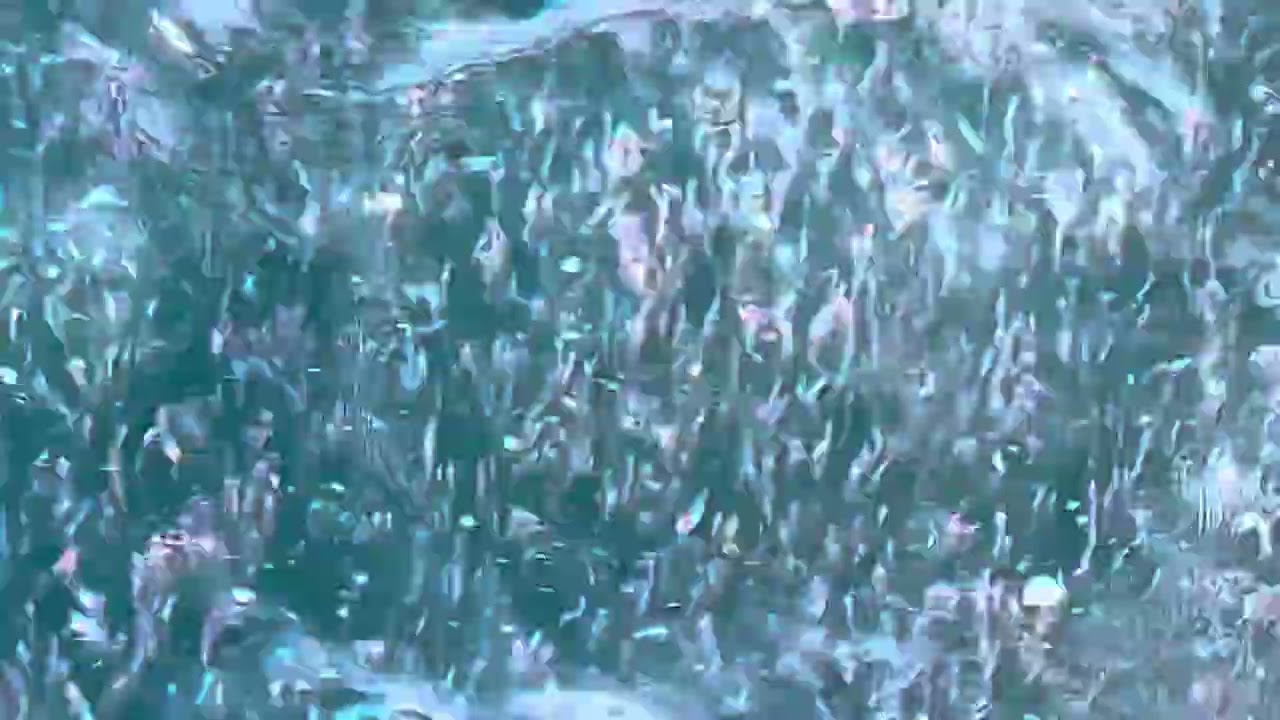 Krill (Euphausiacea sp.). Jeffrey’s ledge, MA 11 June 2025. iPhone video.