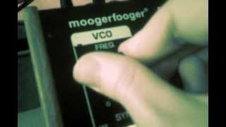 Moog MF102 MF107 MF104 CP251 Demo Moogerfooger