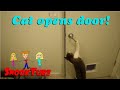 Super Smart Cat opens door all by himself!