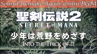 【BGM】聖剣伝説2 Secret of Mana／少年は荒野をめざす - Into the Thick of it -【サウンドリメイク】☆Remake Again