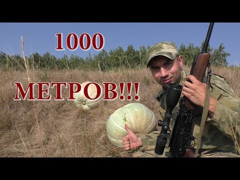 Вепрь-308 на 1000 метров попал в тыкву!!!
