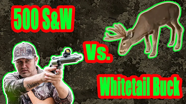 .500 Smith and Wesson vs. Whitetail Buck