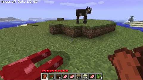 Minecraft - A day back in Beta 1.5_01