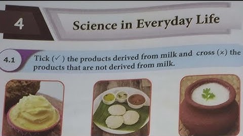 4th std science term 1 unit 4 workbook answers | EE 4th std science  Workbook Answers