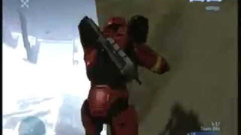 Hidden Animals: HLG Hiding Tactics On Narrows