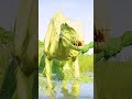 (Jurassic World Evolution)T-Rex VS Ultimasaurus VS Brachiosaurus &amp; Indoraptor Dinosaurs Fight