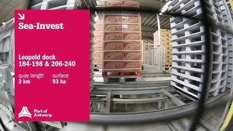 Perishables cargo handling & storage at Sea Invest terminal - BNFW (Port of Antwerp)