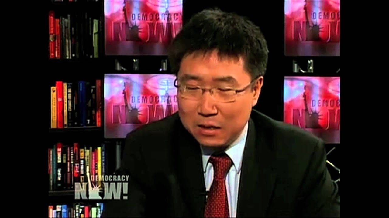 Ha-Joon Chang on IMF, WTO, World Bank and Protectionism