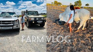 FARM VLOG | Day one of being at the farm | NAMIBIAN YOUTUBER