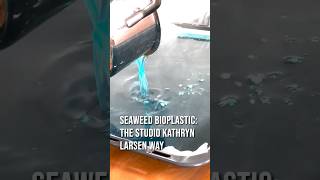 How I Make Seaweed Bioplastic In 2023