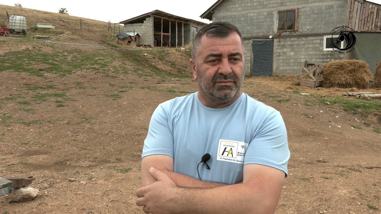 - VUK OPASNA PRETNJA STOČARIMA NA PEŠTERSKOJ VISORAVNI-