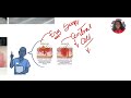 Erysipelas VERSUS Cellulitis by Dr. Kehinde Elisha ( 347-901-6037 )