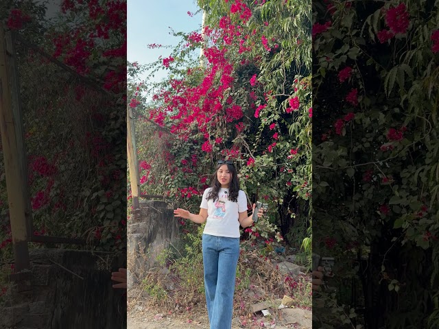 Patrakar Hights Pragati Nagar |  2BHK in Pragati Nagar | Patrakar Hights  2BHK in Pragati Nagar