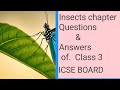 Insects Chapter Class3 | ICSE NCERT. Full Question Answers Explanation.Apna Kaksha study with me..