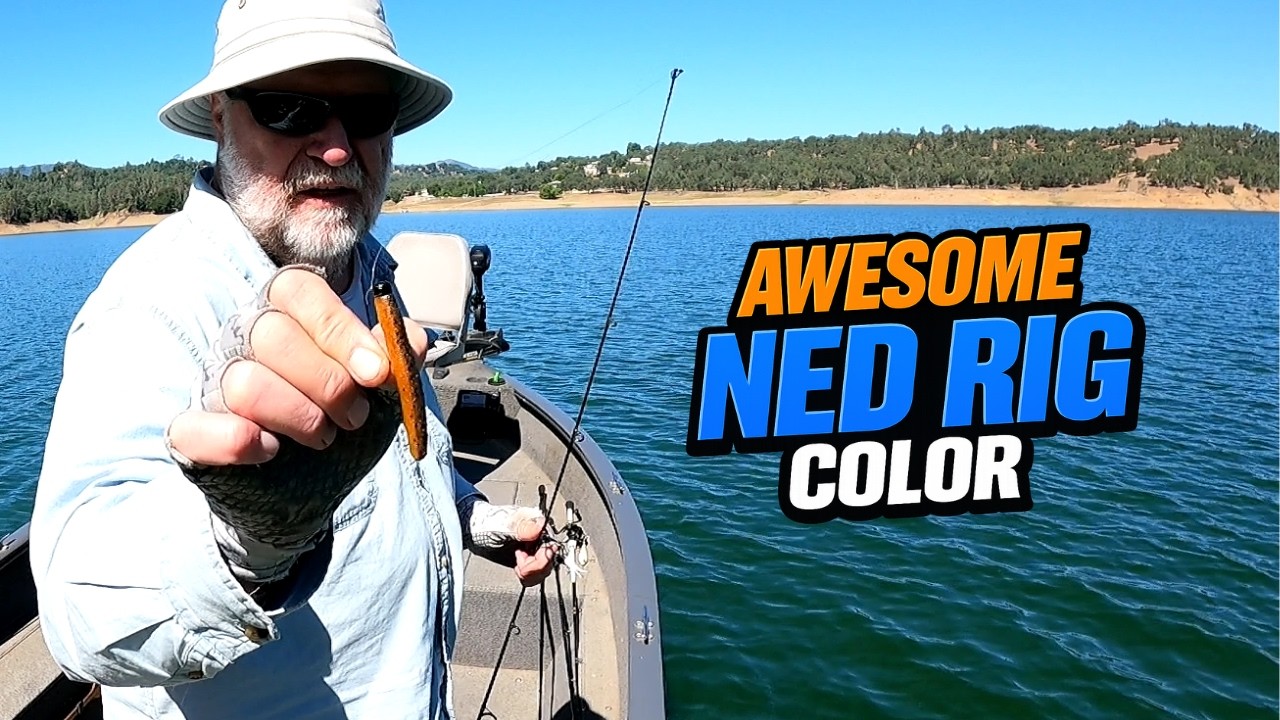 Early June Bass Fishing | Topwater & Ned Rig