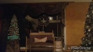 The dog leash (official trailer) milanmarie