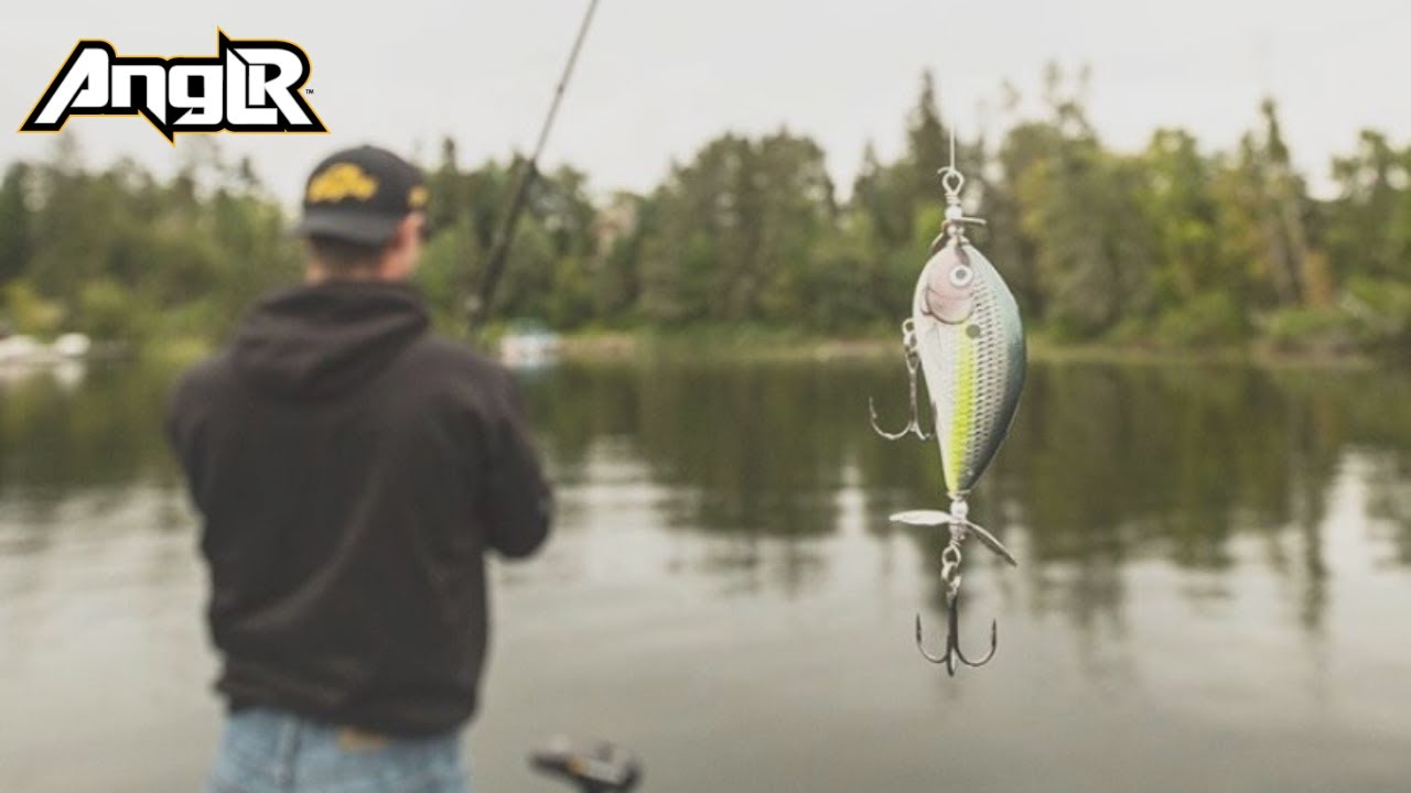 Bagley Baits Pro Sunny B Twin Spin  A Topwater Bait for Explosive Strikes  