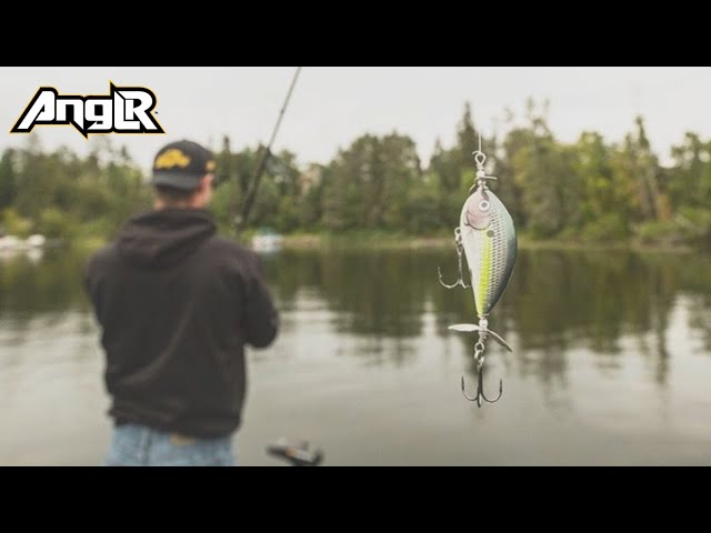 Bagley Baits Pro Sunny B Twin Spin  A Topwater Bait for Explosive Strikes  