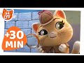 44 Cats | 30 MINUTES of pawesome moments | Compilation 2