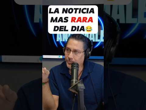 Florida Man arrested for force-feeding and tossing a seagull 😳 #Rumba1003 #FloridaMan #iHeartRadio