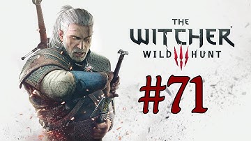 The Witcher 3 Wild Hunt Walkthrough - The Isle of Mists