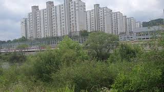 계룡역을 진입하는 무궁화호