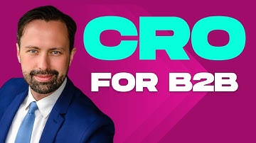 Conversion Rate Optimization CRO B2B [Assignment: Audience Insights]