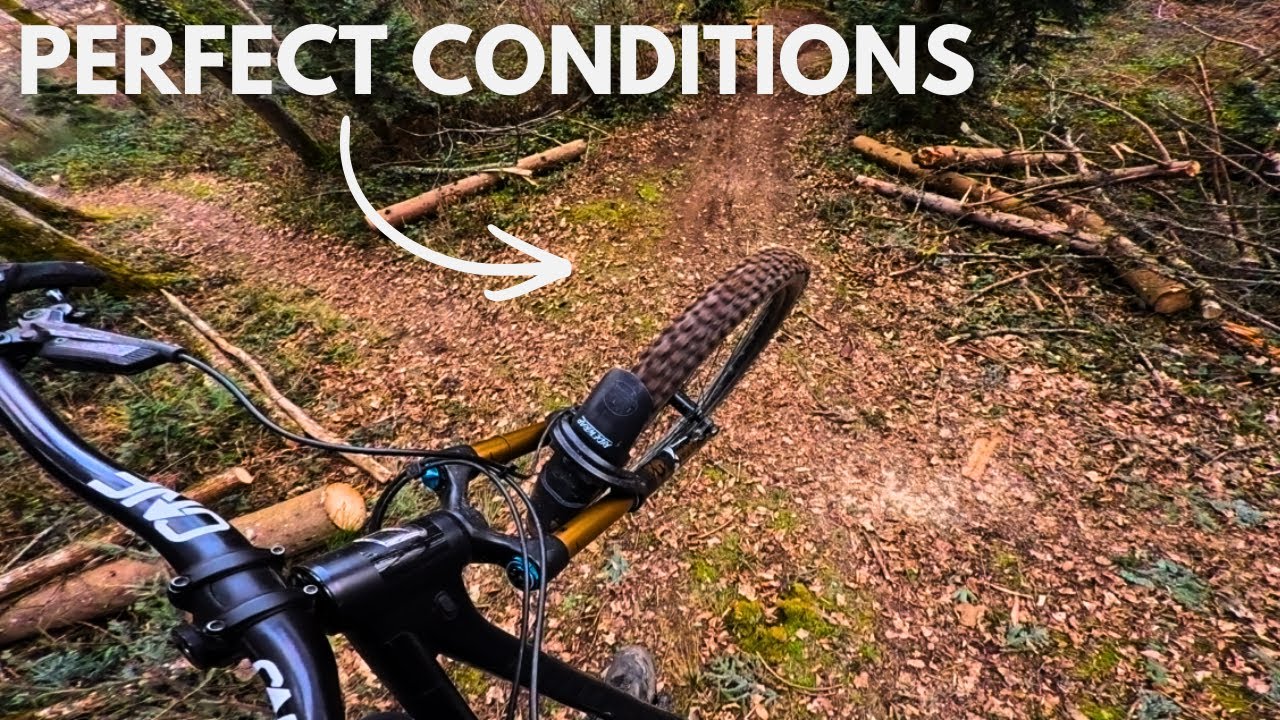 Shredding to Crazy Train