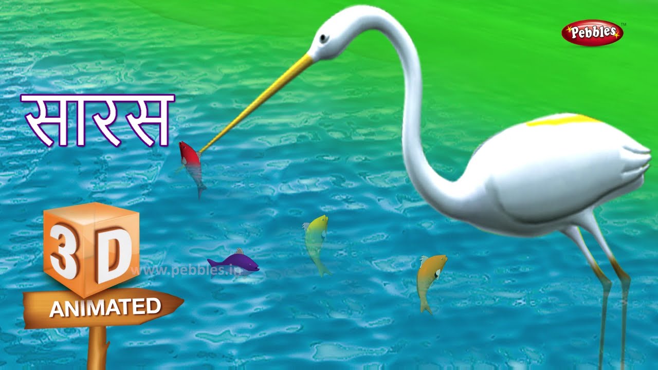 stork visit meaning in hindi
