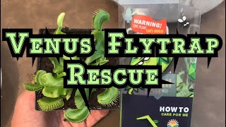 Venus Flytrap “Death Cube” Rescue  How to Repot and save this Flytrap