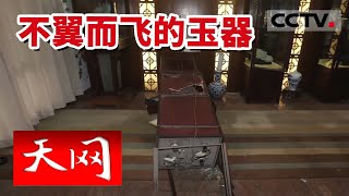 《天网》嫌疑人凿开墙洞入室盗窃价值200万的玉器 监控完整记录下作案过程 20220525 | CCTV社会与法